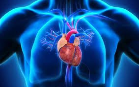 cardiologist-in-siliguri